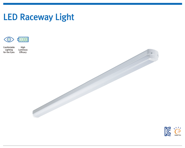 LED Raceway Light