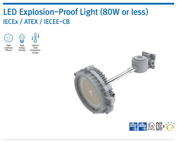 LED Explosion-Proof Light (80W or less)
